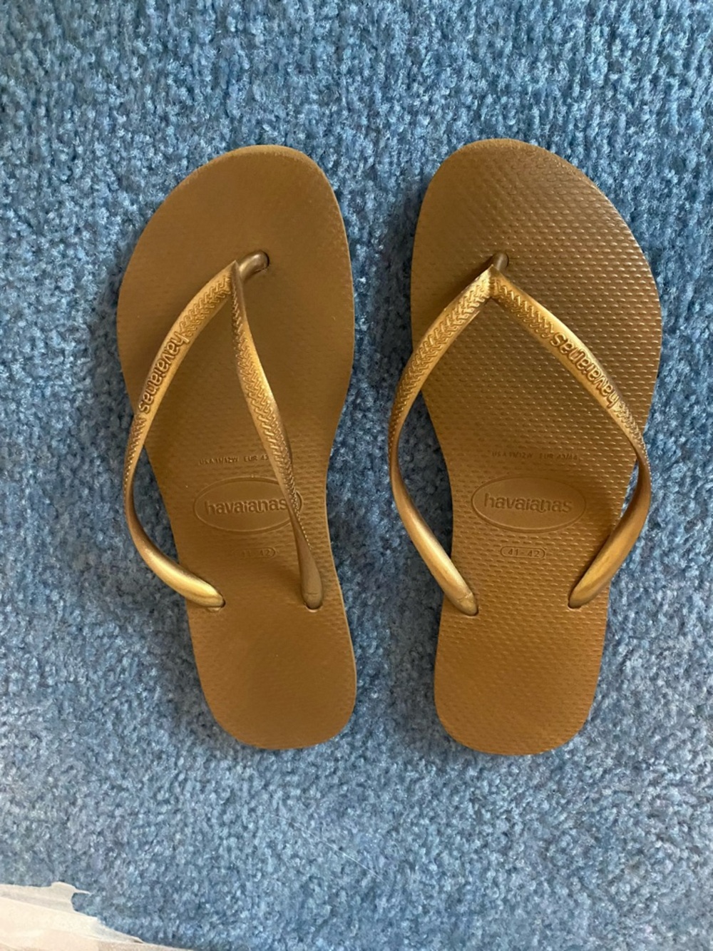 Havaianas Metallic Bronze Thong Sandals
